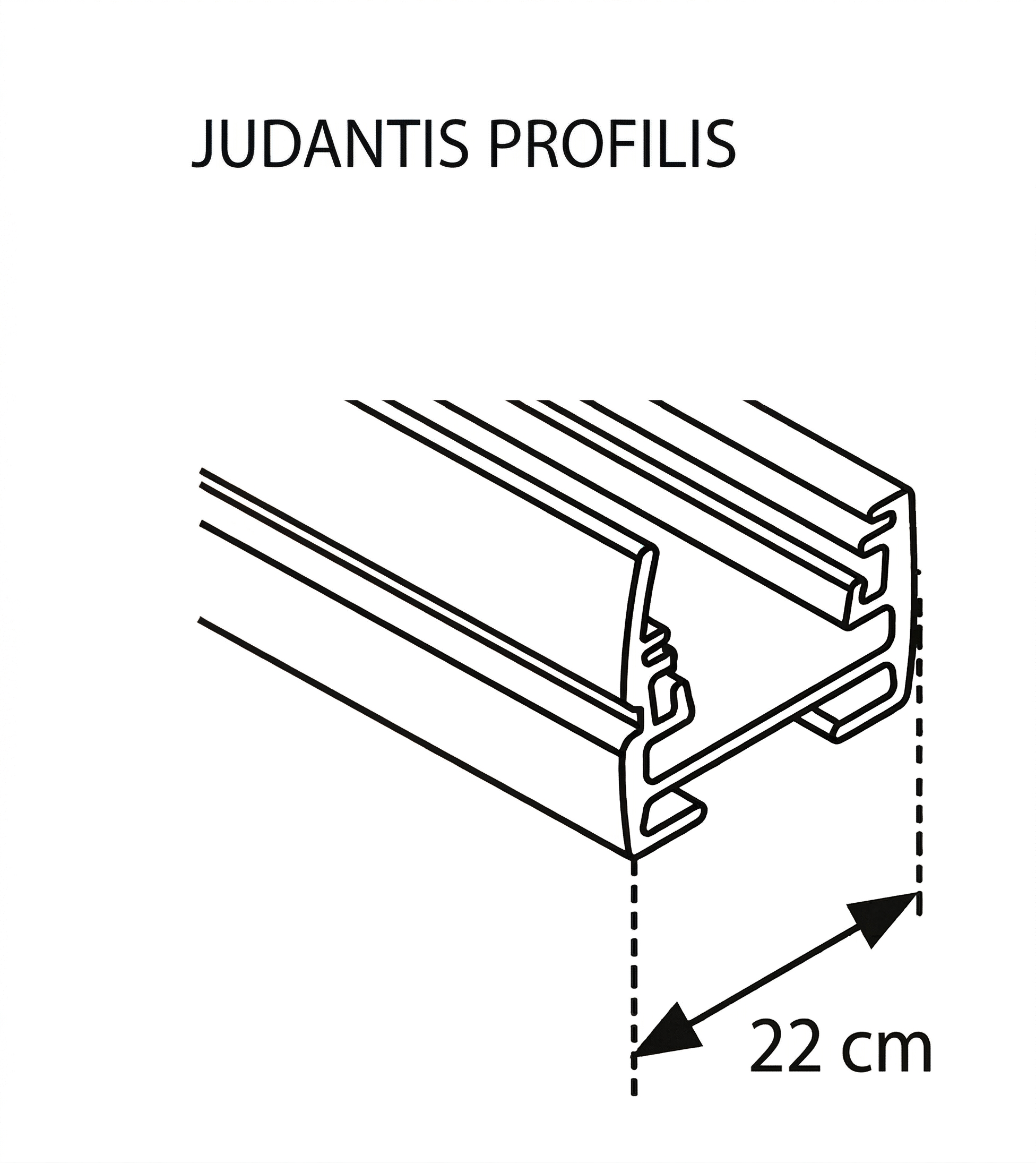 Judantis profilis