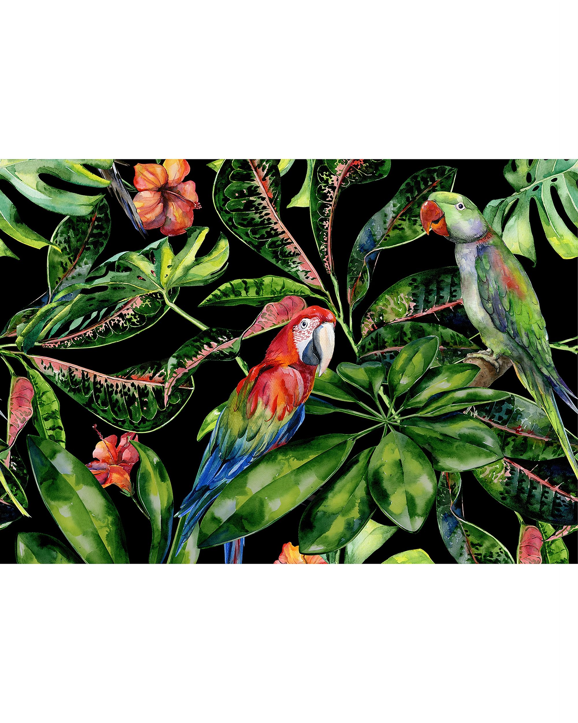 Vaizdas ant drobės Tropical Birds