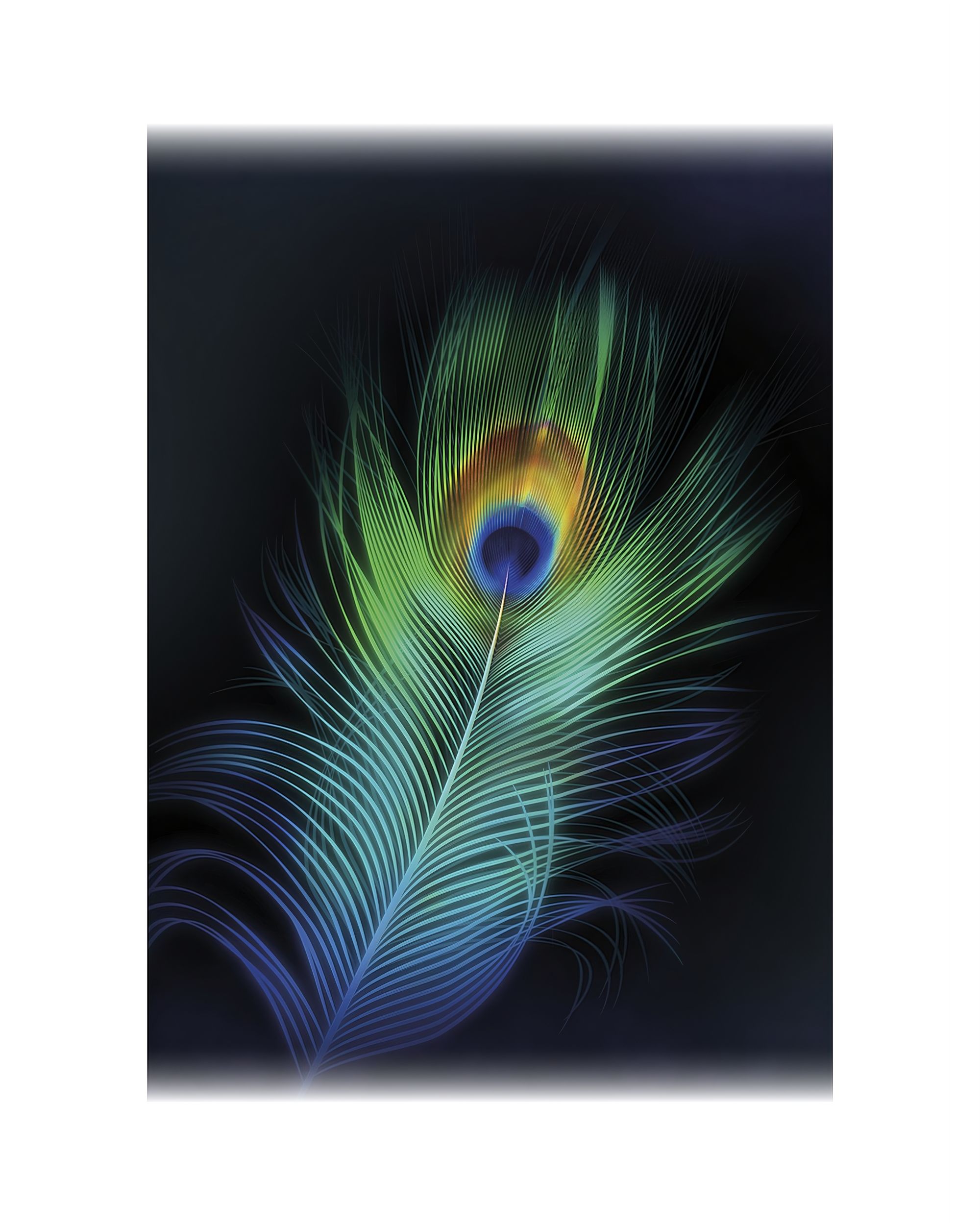 Vaizdas ant drobės Peacock Eye
