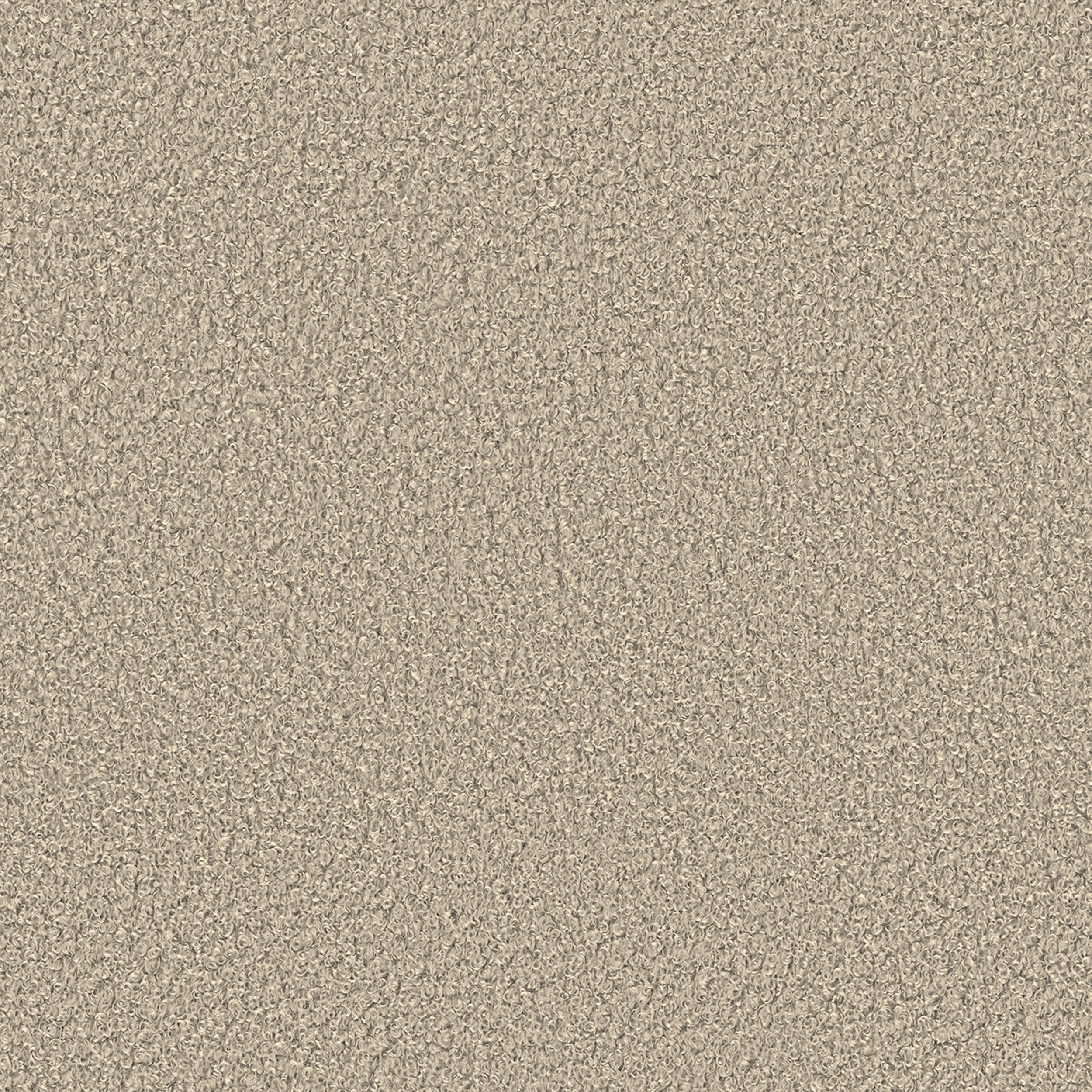 Teddy - Boucle 702-81 šviesiai smėlinė