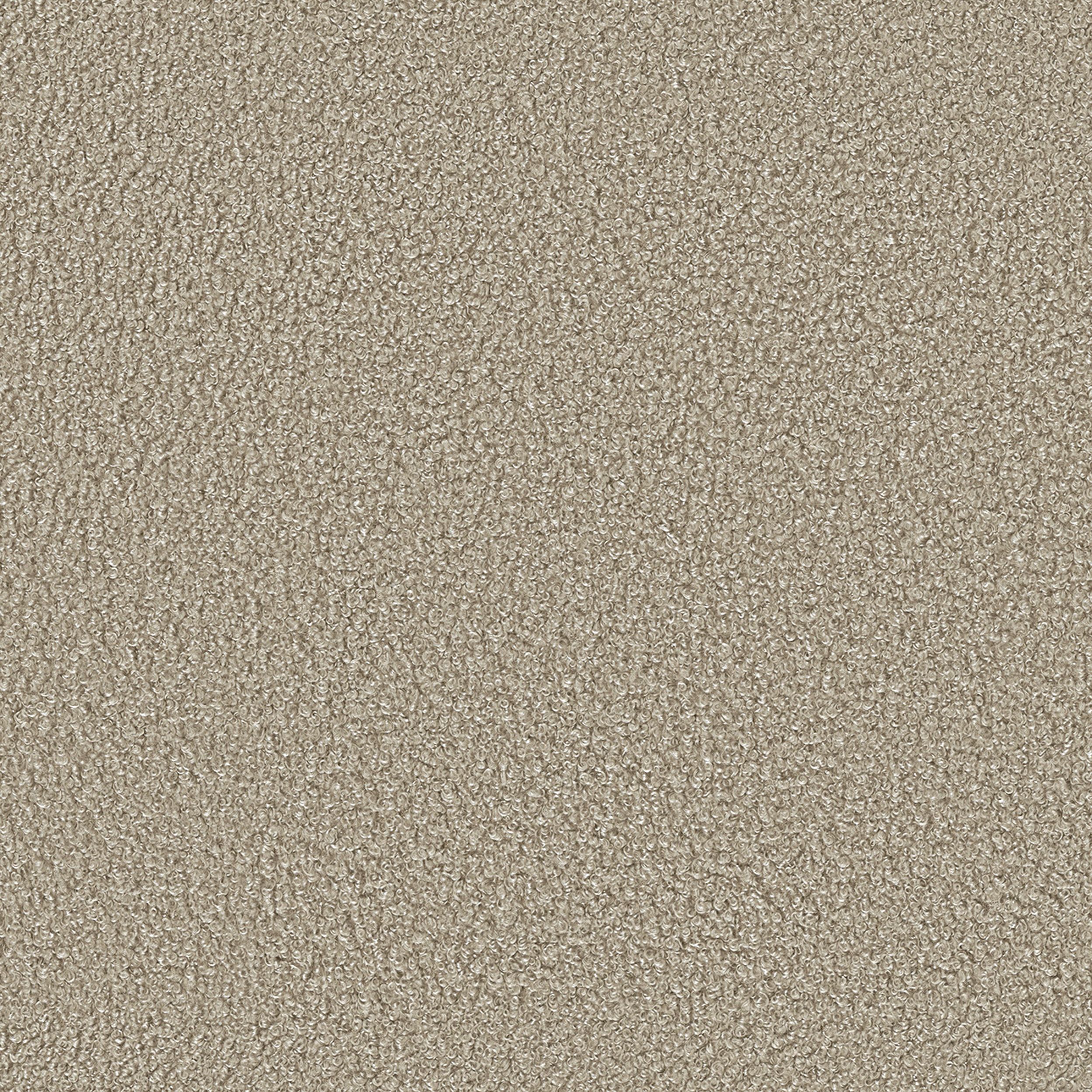 Teddy - Boucle 702-82 tamsiai smėlio